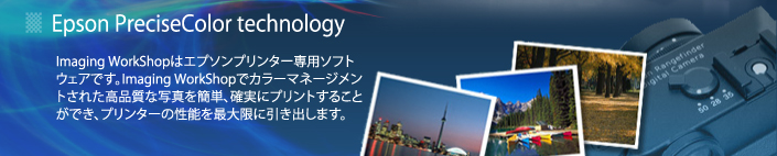 EPSON PreciseColor technology