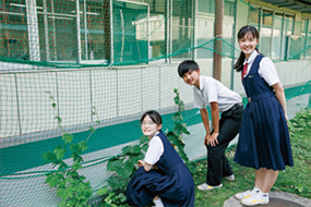 中庭を使ってグリーンカーテンプロジェクトの植物を栽培中（写真は生徒会役員の生徒達）