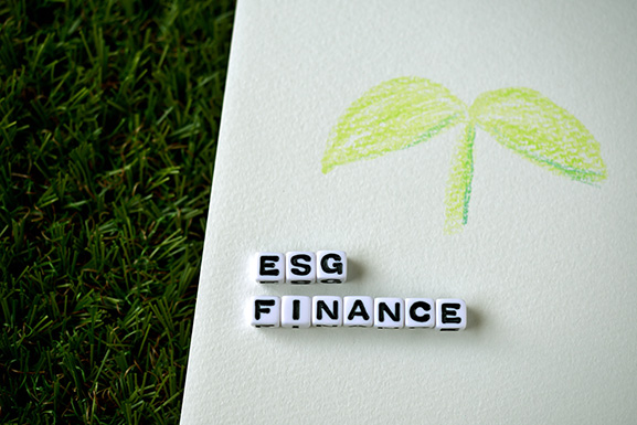 『乱立する開示基準、"アルファベットスープ"という課題』のイメージ