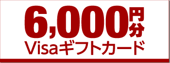 6000円分Visaギフトカード