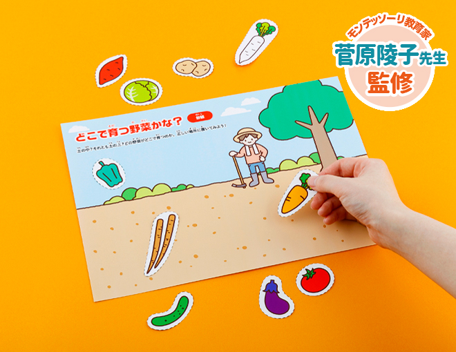 どこで育つ野菜かな？