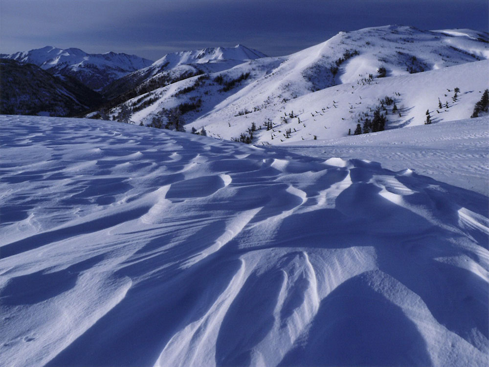 Olympus Workspaceの標準設定