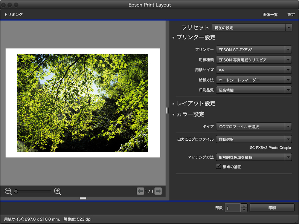 Epson Print Layout画面