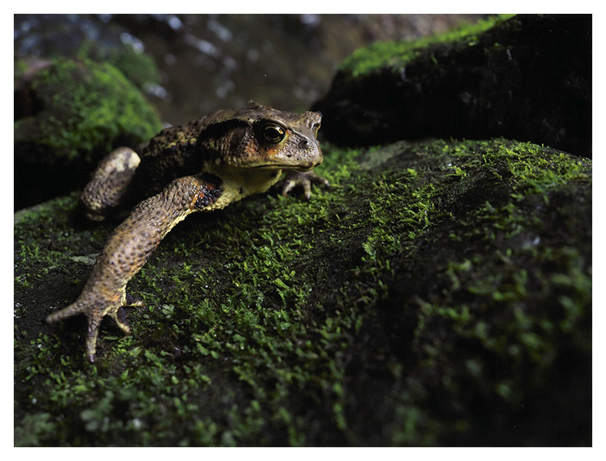 OM-D E-M1 Mark II／M.ZUIKO DIGITAL ED 12-40mm F2.8 PRO／12mm／マニュアル露出（F2.8、1/250秒）／ISO 800／WB：晴天／プリンター：エプソン SC-PX5VII／用紙：写真用紙クリスピア＜高光沢＞ 