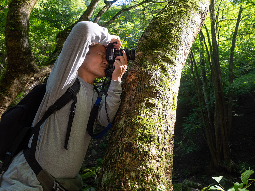 秦さんからのアドバイスを受け、直射日光が当たらない木の陰から狙うポジションに変更し撮影を試みる 