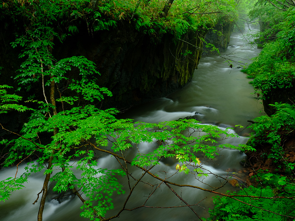 カメラで撮影したJPEG