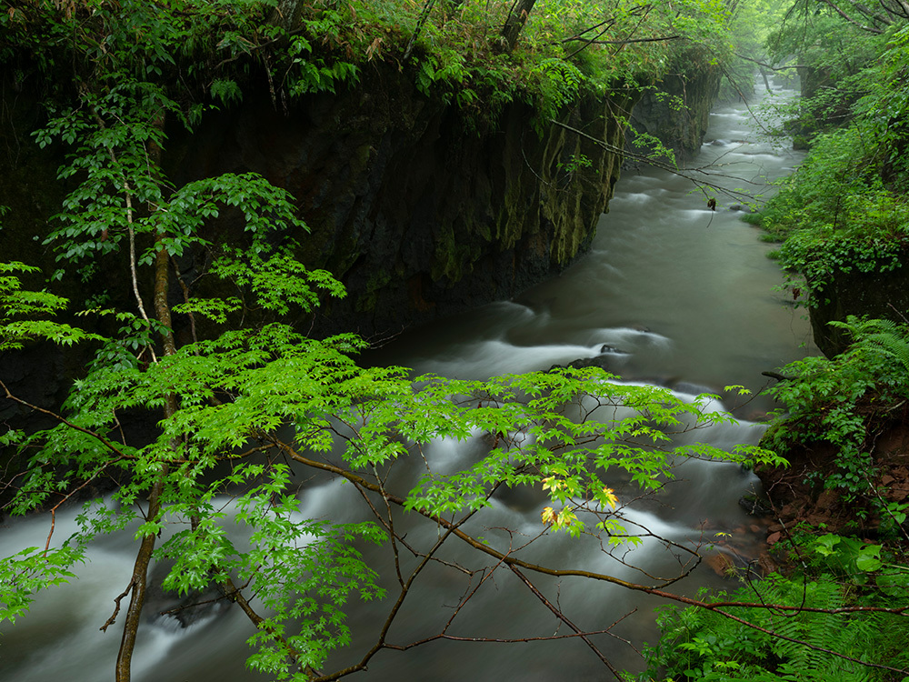 同時撮影したRAWをLightroom® の標準設定で表示したもの