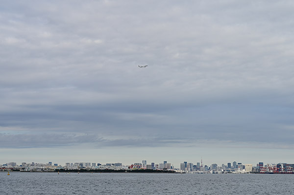 菱山隆さんの作品