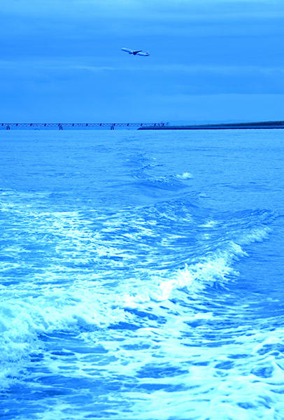 高草木裕子さんの作品