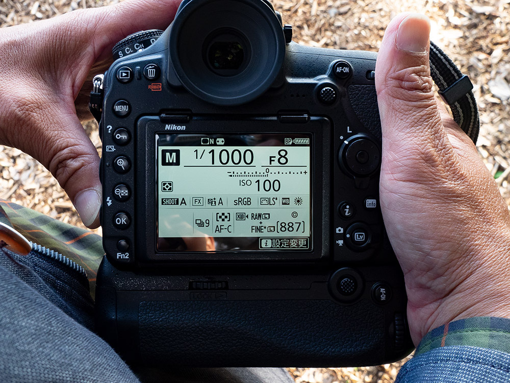 この日の中野さんの撮影設定は、「F8、1/1,000秒、ISO100、太陽光」で固定