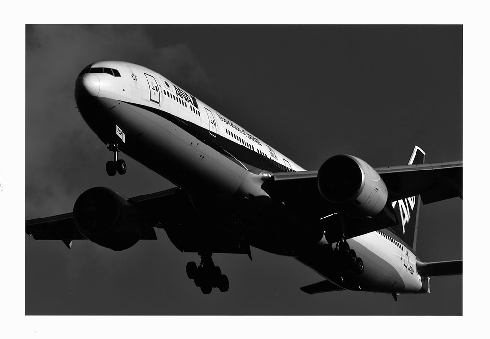 D5／AF-S NIKKOR 500mm f/4E FL ED VR／500mm／マニュアル露出（F8、1/1,000秒）／ISO 100／WB：晴天／プリンター：エプソン SC-PX5VII／用紙：写真用紙クリスピア＜高光沢＞