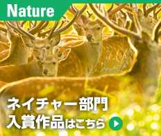 ネイチャー部門入賞作品