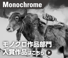 モノクロ作品部門入賞作品
