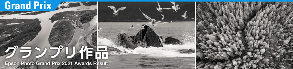 グランプリ作品