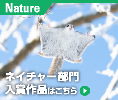 ネイチャー部門入賞作品