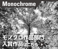 モノクロ作品部門入賞作品