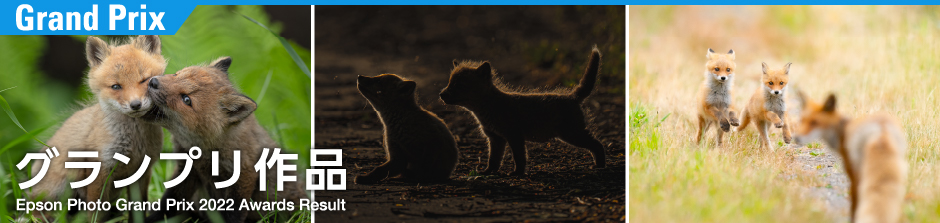 グランプリ作品 Epson Photo Grand Prix 2022 Awards Result