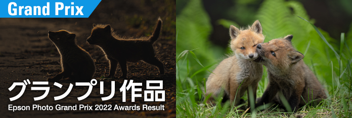 グランプリ作品 Epson Photo Grand Prix 2022 Awards Result