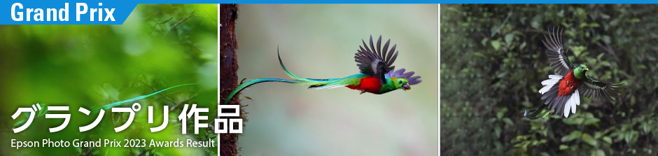 グランプリ作品 Epson Photo Grand Prix 2023 Awards Result