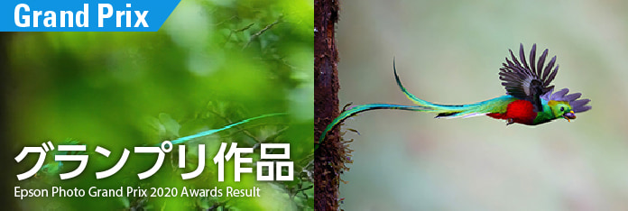 グランプリ作品 Epson Photo Grand Prix 2023 Awards Result