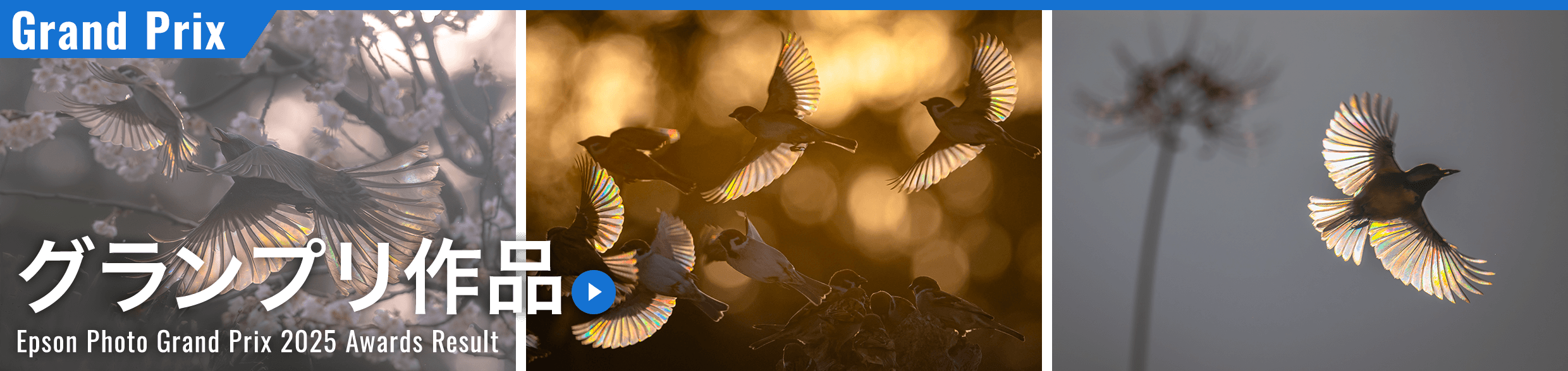 グランプリ作品