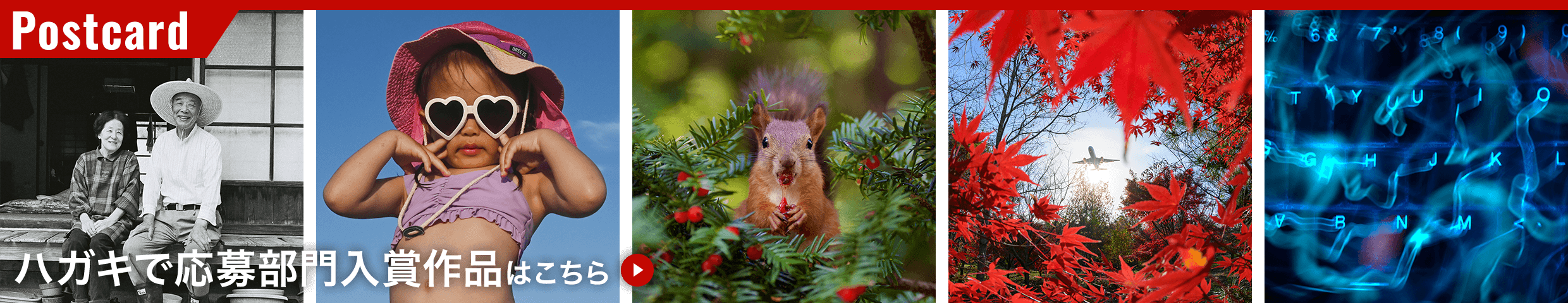 ハガキで応募部門入賞作品
