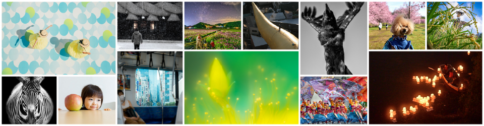 画像：meet up!-selection-2022プリント部門