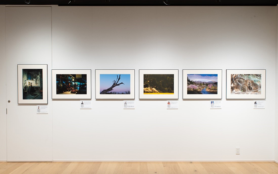 ゲスト写真家による展示