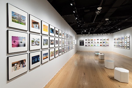 エプサイトプレミアム写真展『感動の一枚』展示の様子