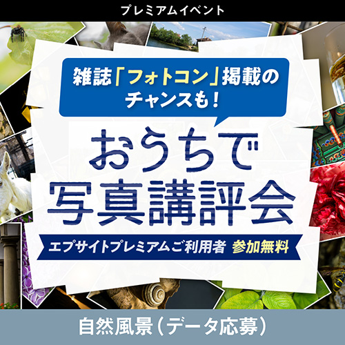 雑誌「フォトコン」掲載のチャンスも！おうちで写真講評会（テーマ：自然風景／応募方法：データ）