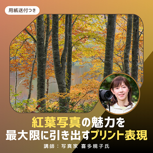 紅葉写真の魅力を最大限に引き出すプリント表現