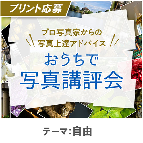 「おうちで写真講評会」1月のプレミアムイベント（オンライン配信無し）
