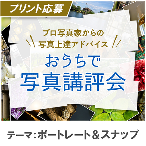 「おうちで写真講評会」11月のプレミアムイベント