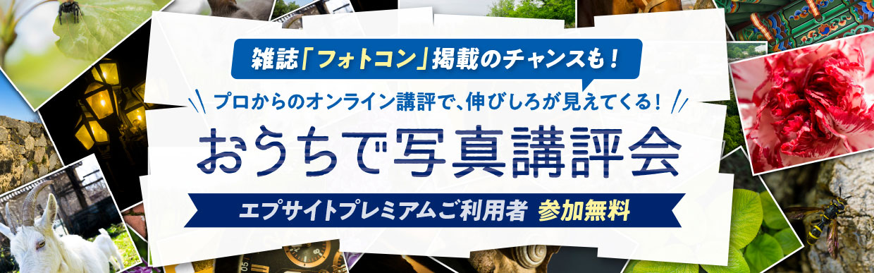 雑誌「フォトコン」掲載のチャンスも！ プロからのオンライン講評で、伸びしろが見えてくる！ おうちで写真講評会 エプサイトプレミアムご利用者 参加無料