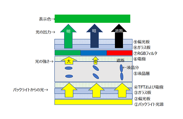TFT液晶ディスプレイの断面図と表示のしくみ①　明緑色表示の場合