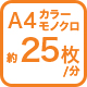 A4カラーモノクロ25枚/分