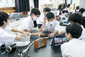 「化学変化」をテーマに、18時間をかけてグループ毎に各実験を行い結果をレポート化