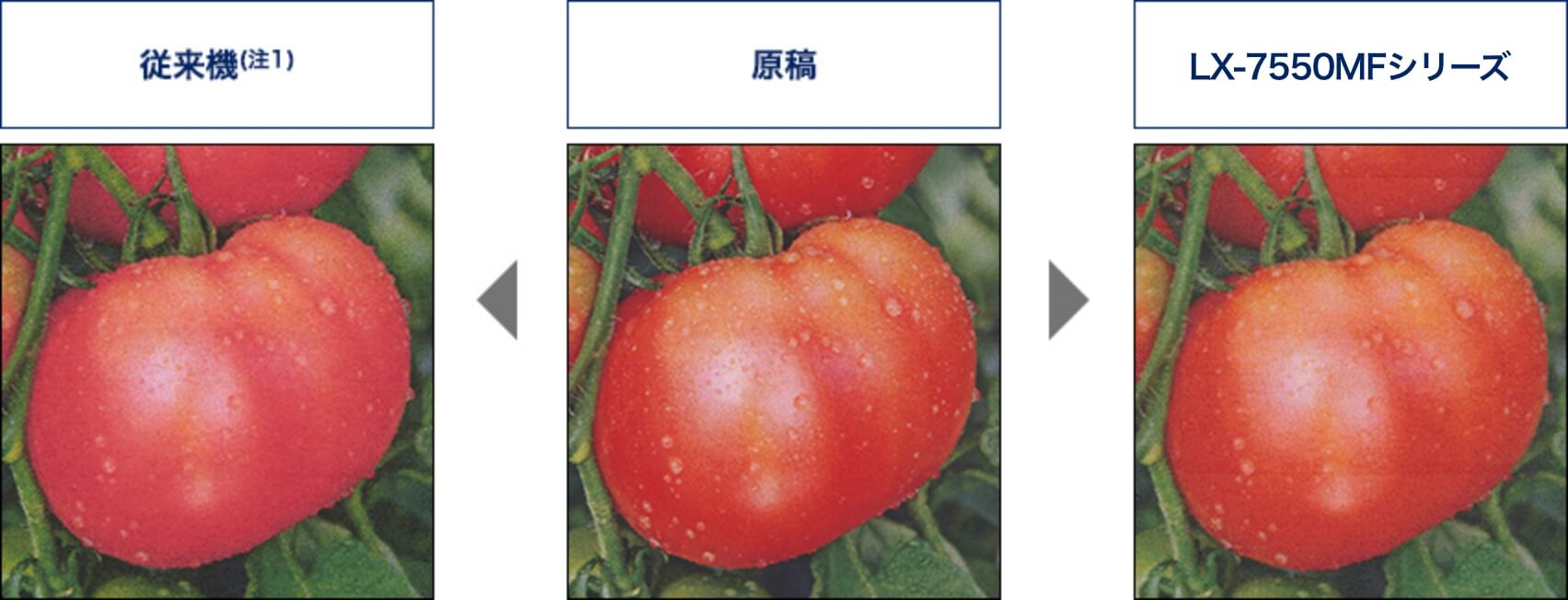 原稿に近い色再現力