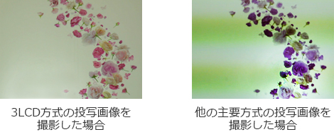 （左）3LCD方式の投写画像を撮影した場合 （右）他の主要方式の投写画像を撮影した場合
