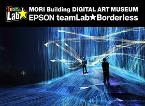 MORI Building DIGITAL ART MUSEUM EPSON teamLab Borderless