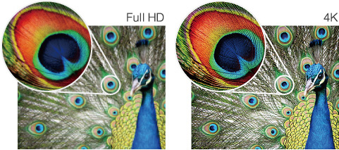 Full HD　4K　比較イメージ