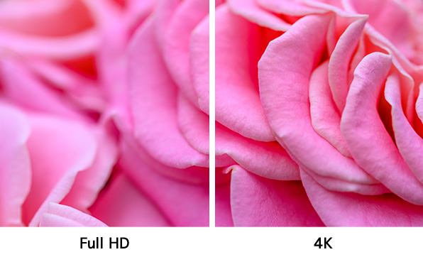 4K解像度でクリアで鮮明な撮像が可能。