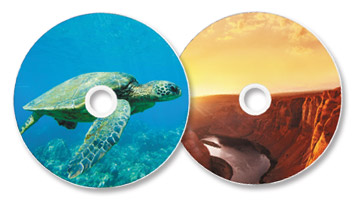 ディスクレーベルプリントに対応