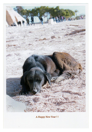 エプソン 写真用紙＜絹目調＞