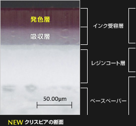 NEW 新クリスピアの断面