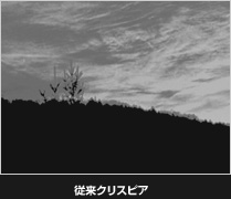 従来クリスピア