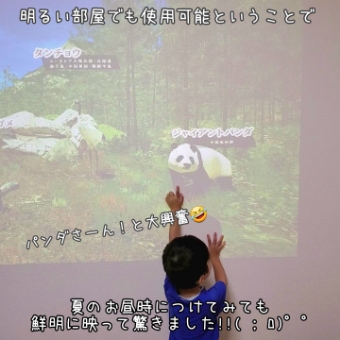 子どもが壁に映し出されたパンダの映像に指をさしています