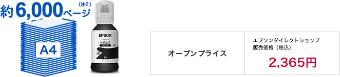 約6,000ページ（注2）