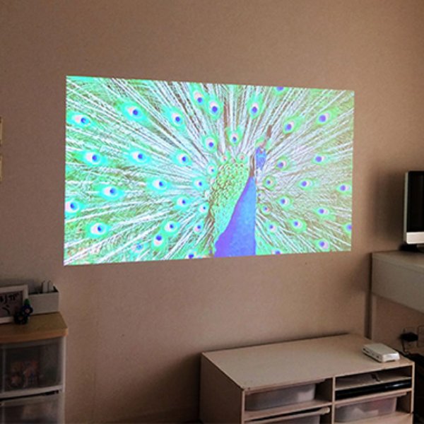 孔雀の投写イメージ