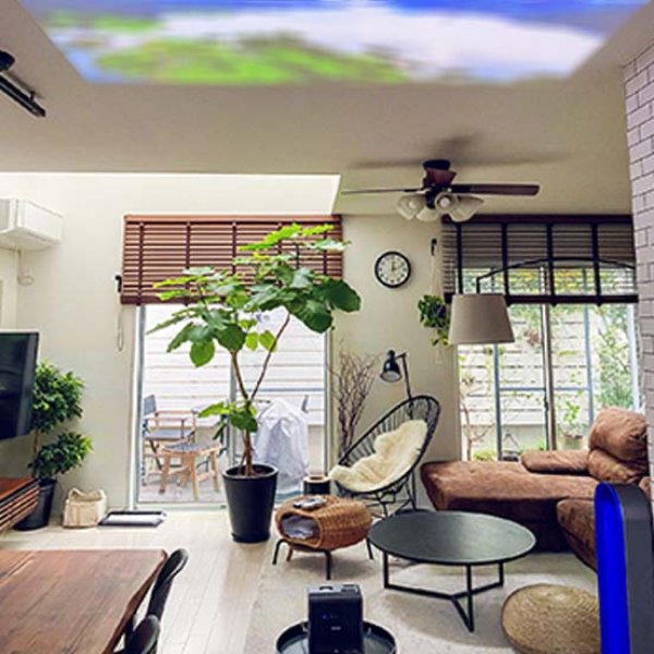 自然の天井投写イメージ